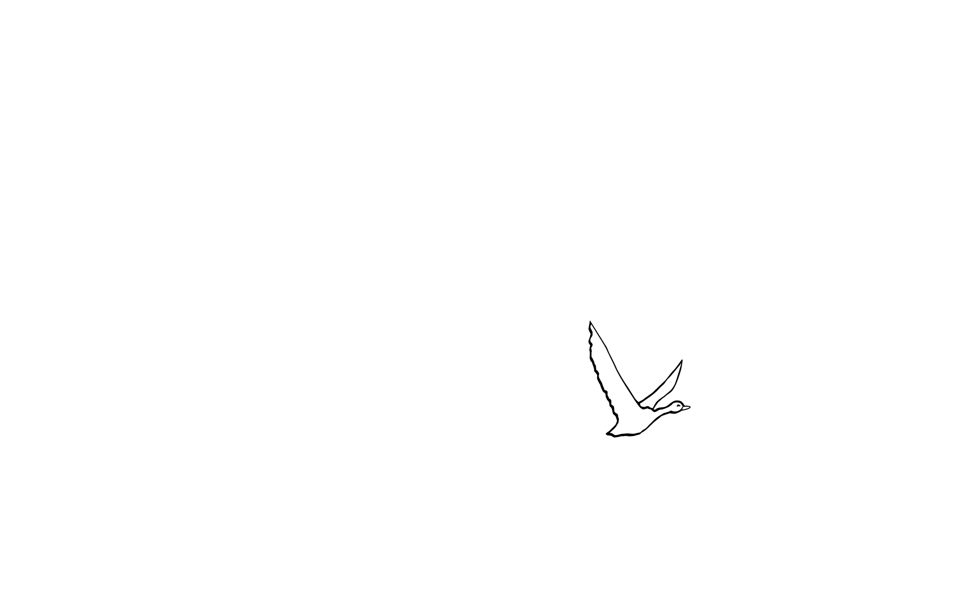 Grey Goose
